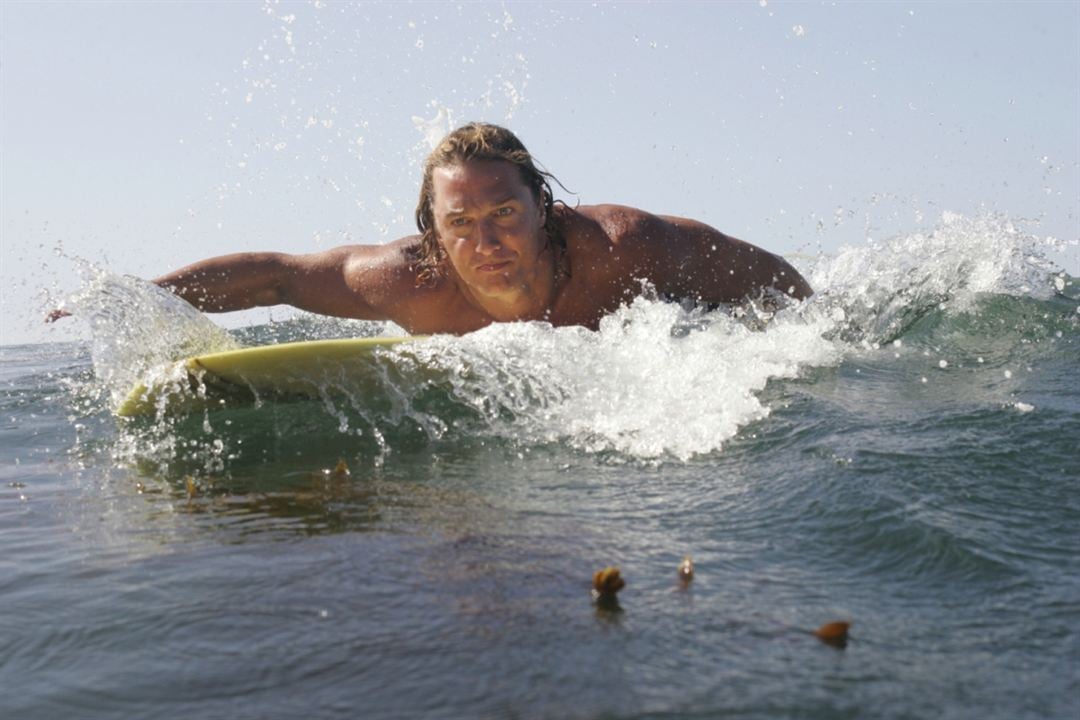 Surfer, Dude : Bild