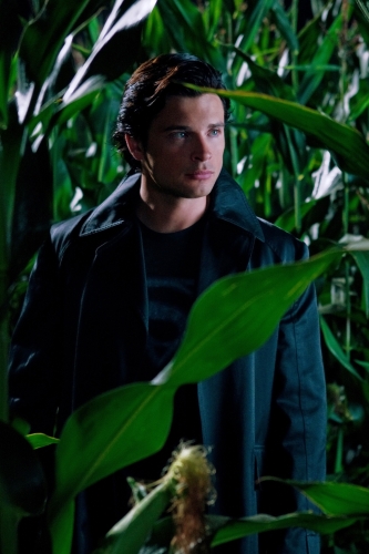 Bild Tom Welling