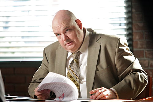 The Mentalist : Bild Pruitt Taylor Vince