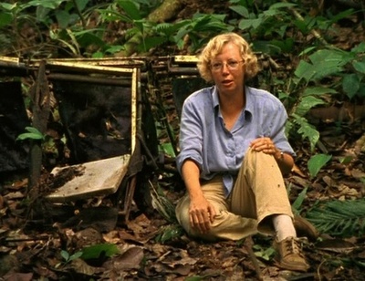 Julianes Sturz in den Dschungel : Bild