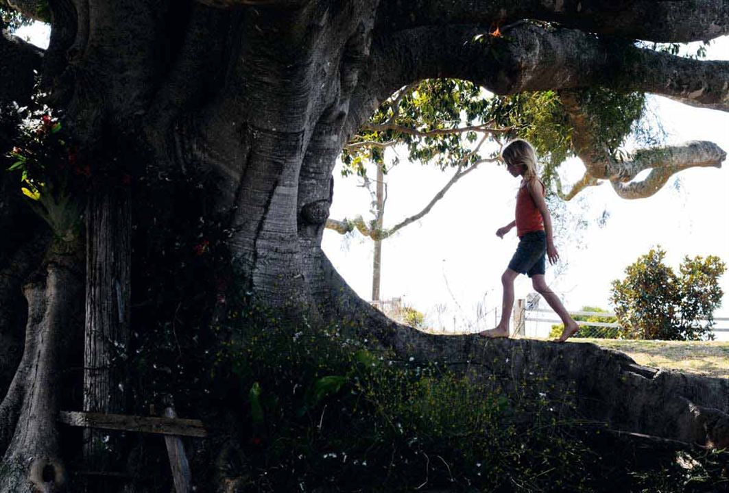 The Tree : Bild Morgan Davies, Julie Bertuccelli