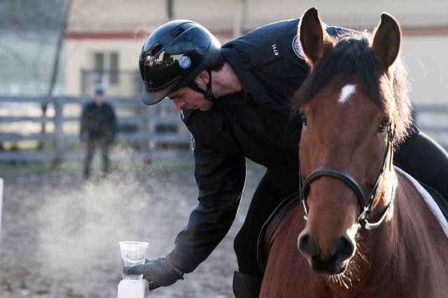 Rookie Blue : Bild Travis Milne