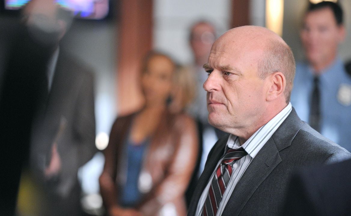 Body Of Proof : Bild Dean Norris