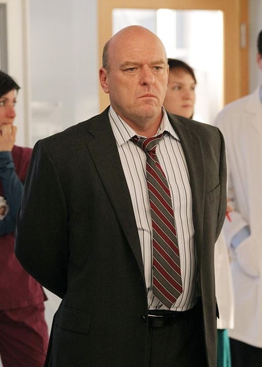Body Of Proof : Bild Dean Norris
