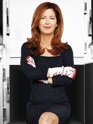 Body Of Proof : Kinoposter