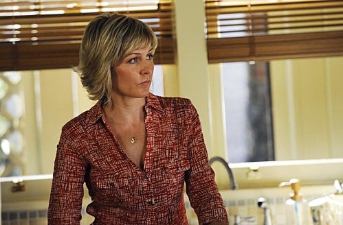 Blue Bloods : Bild Amy Carlson