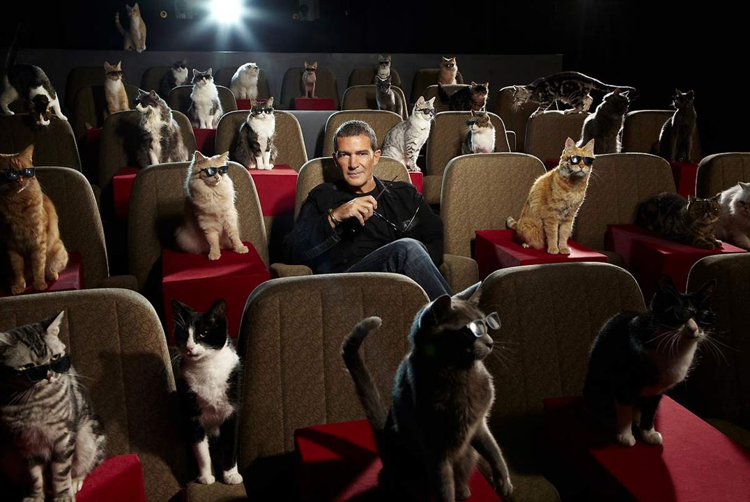 Der gestiefelte Kater : Bild Antonio Banderas