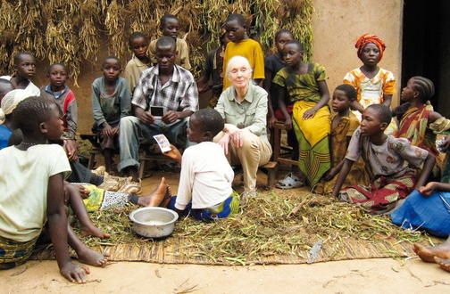 Jane's Journey - Die Lebensreise der Jane Goodall : Bild