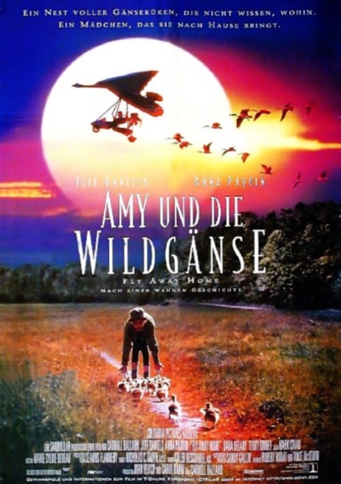 Amy und die Wildgänse : Kinoposter