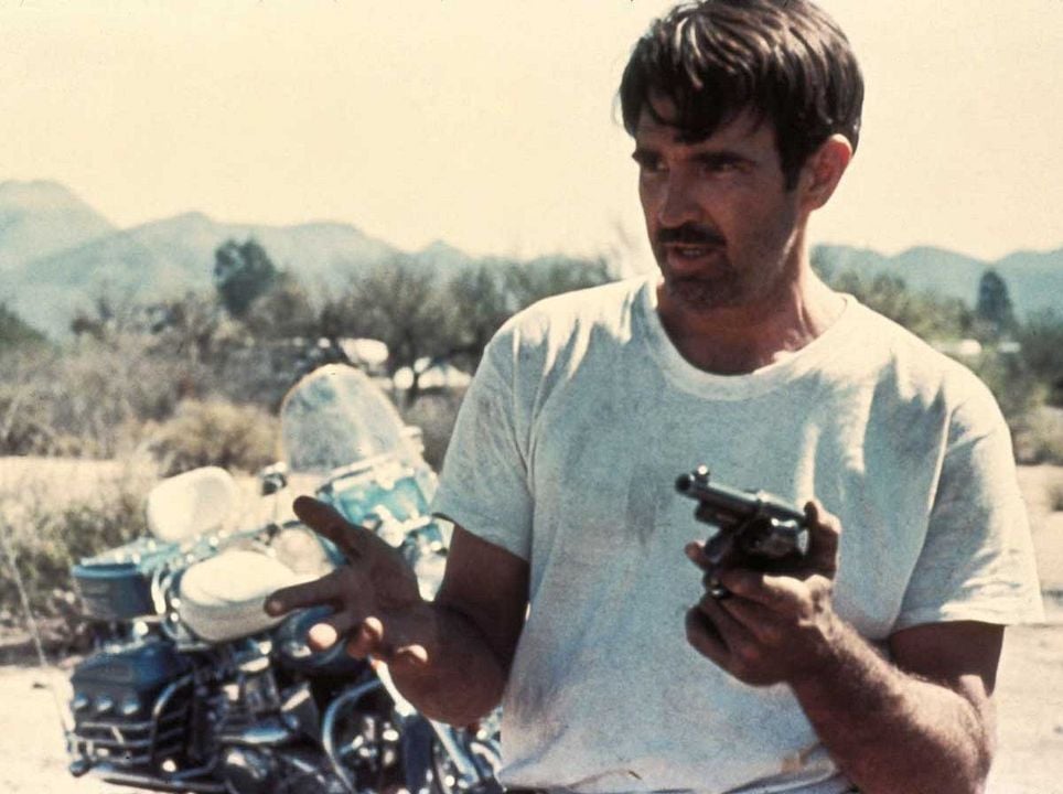 Electra Glide in Blue : Bild