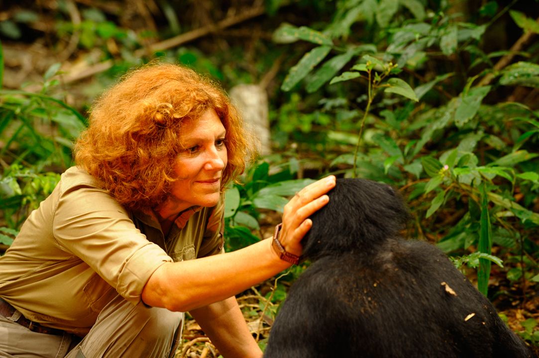 Benny - Allein im Wald : Bild Alain Tixier, Claudine André