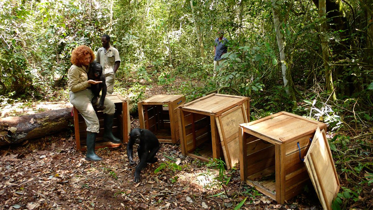 Benny - Allein im Wald : Bild Alain Tixier