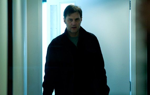 Bild David Morrissey