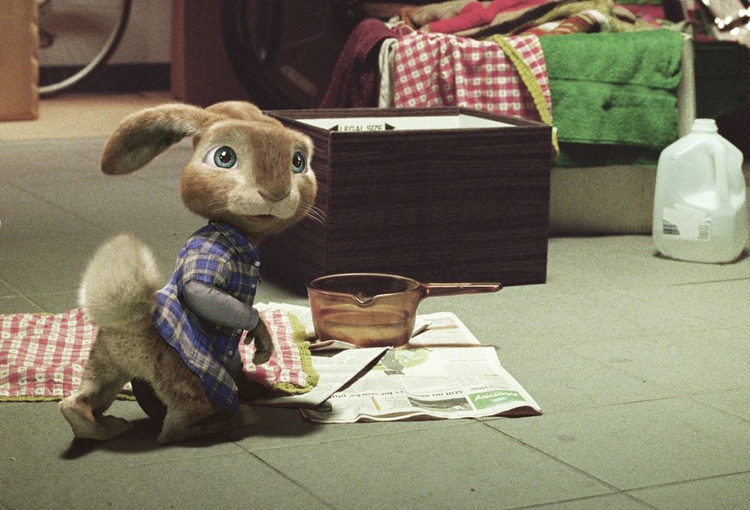 Hop - Osterhase oder Superstar : Bild Tim Hill