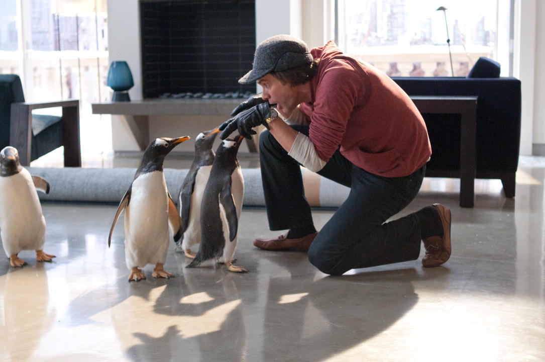 Mr. Poppers Pinguine : Bild Mark Waters, Jim Carrey