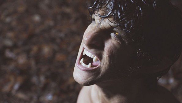 Teen Wolf : Bild Tyler Posey