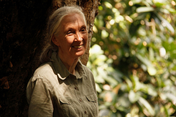 Jane's Journey - Die Lebensreise der Jane Goodall : Bild