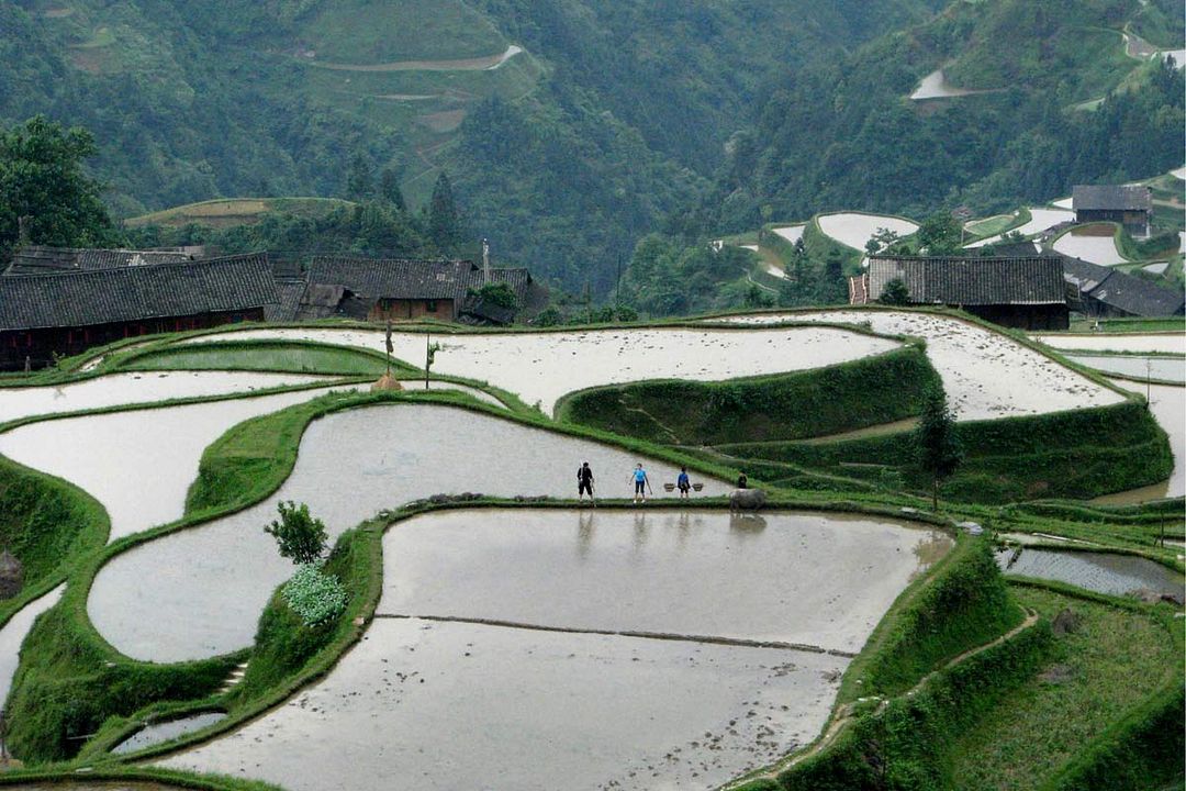 Si près du Soleil : Bild