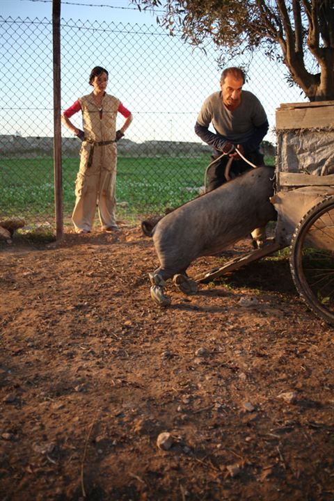 Das Schwein von Gaza : Bild