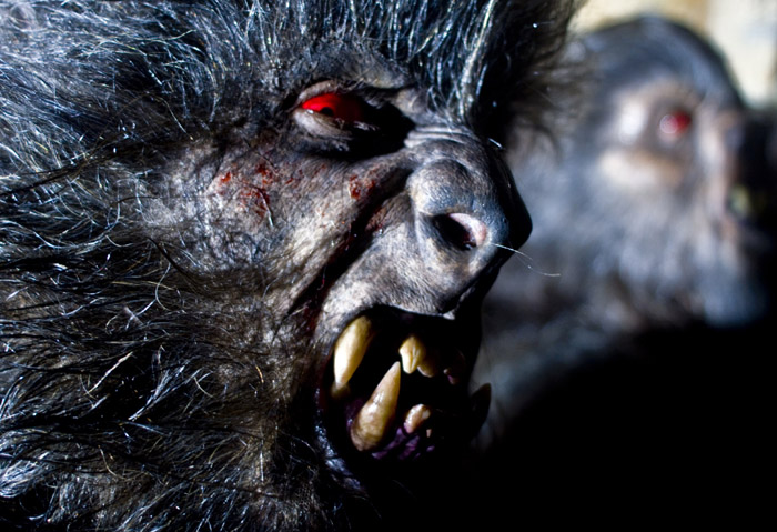 Game of Werewolves - Die Jagd beginnt! : Bild