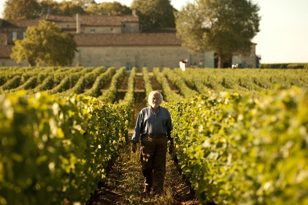 You Will Be My Son : Bild