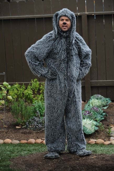 Wilfred (2011) : Bild Jason Gann