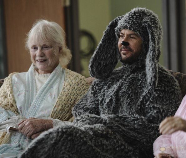 Wilfred (2011) : Bild Jason Gann