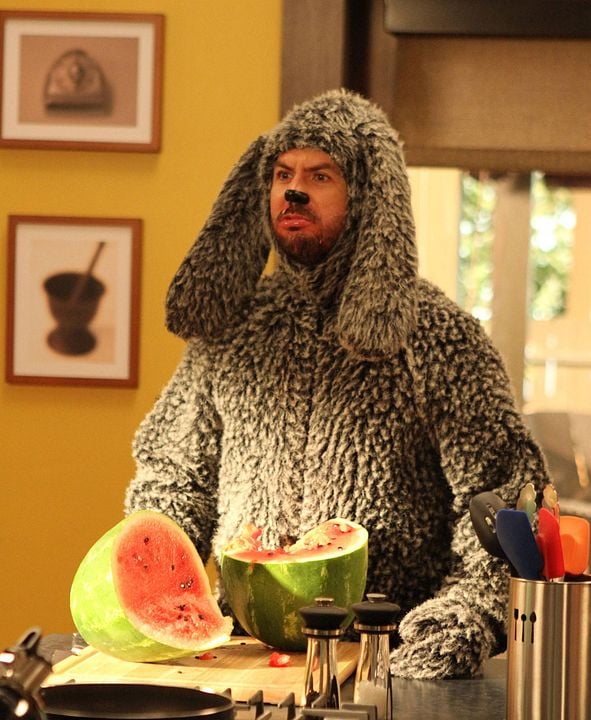 Wilfred (2011) : Bild Jason Gann