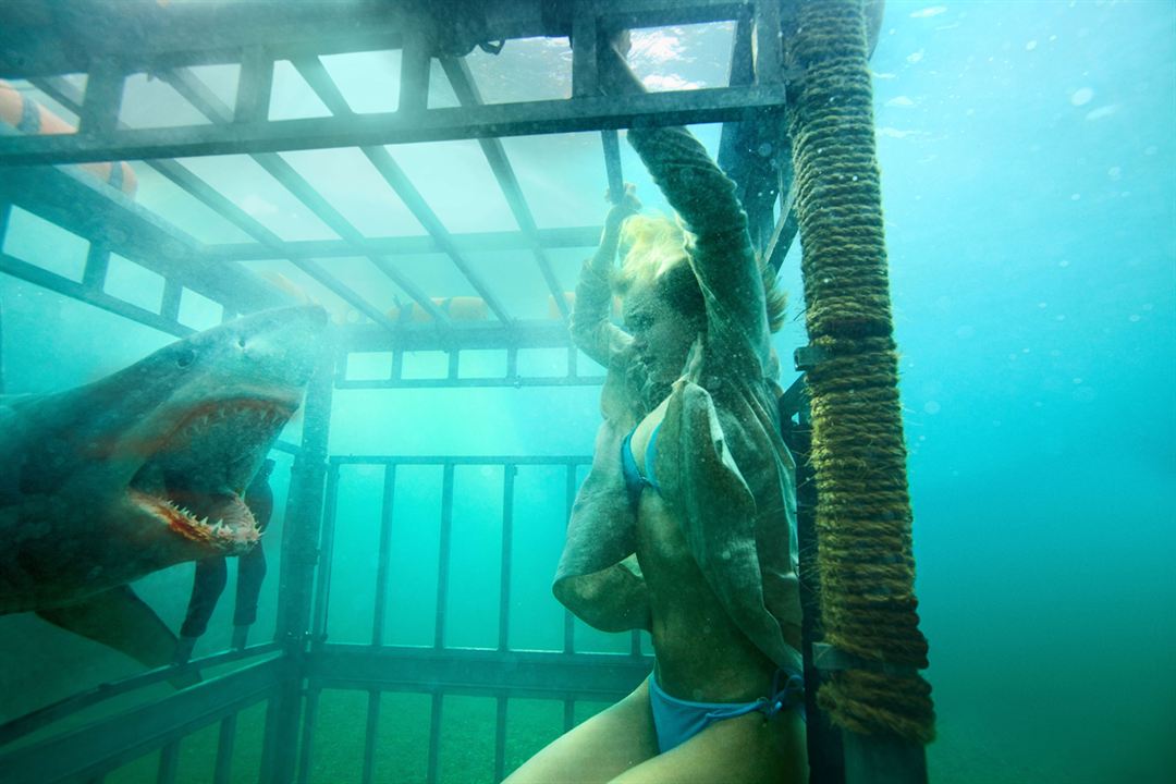Shark Night 3D : Bild