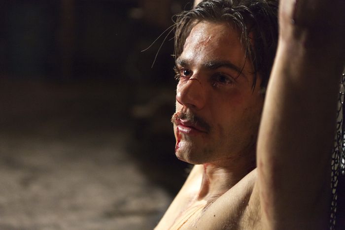 Die schlafende Stimme : Bild