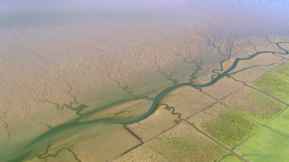 Die Nordsee von oben : Bild