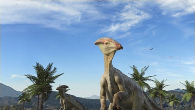 Sea Rex 3D: Reise in die Zeit der Dinosaurier : Bild