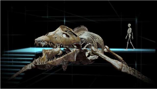 Sea Rex 3D: Reise in die Zeit der Dinosaurier : Bild