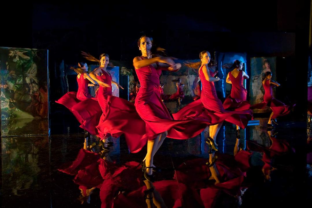 Flamenco, Flamenco : Bild