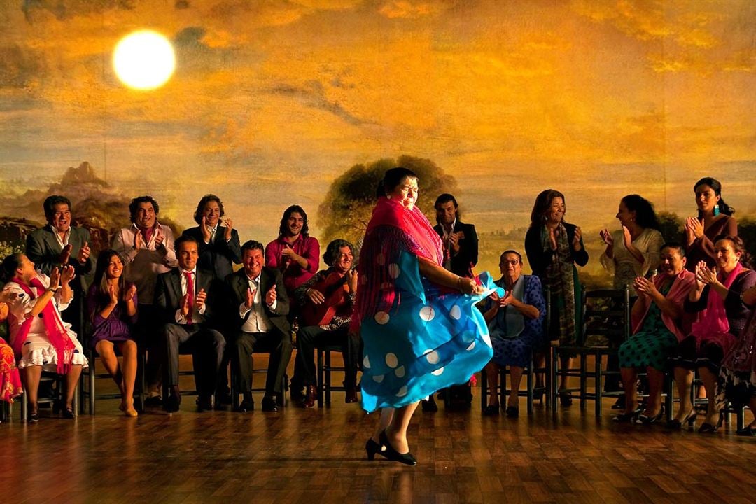 Flamenco, Flamenco : Bild