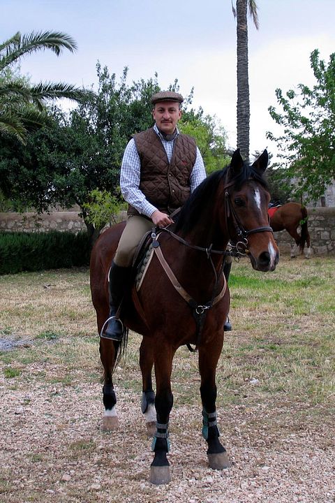 Commissario Montalbano : Bild