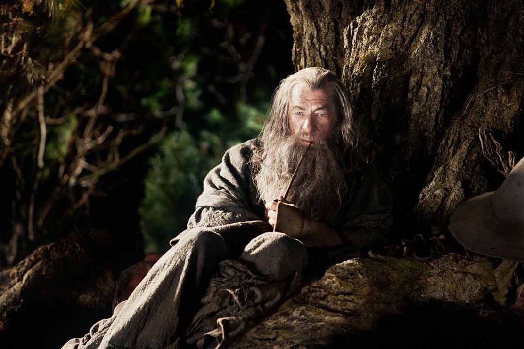 Der Hobbit: Eine unerwartete Reise : Bild Ian McKellen