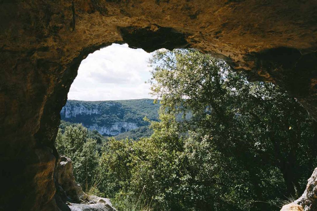Die Höhle der vergessenen Träume : Bild