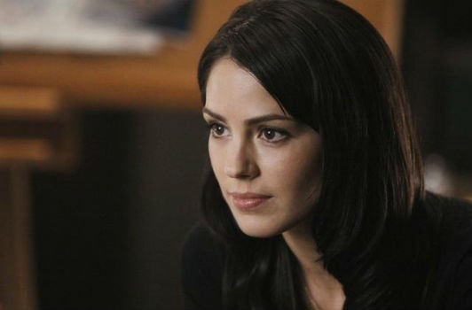 Hawaii Five-0 : Bild Michelle Borth