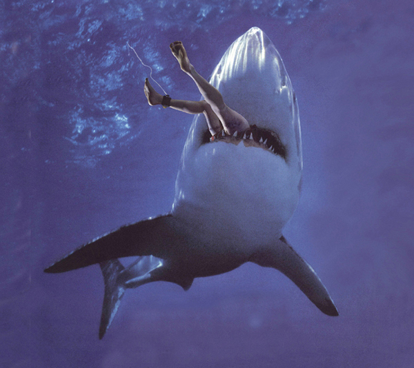 Hai Attack : Bild