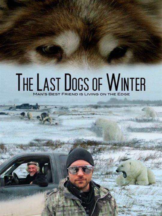 The Last Dogs of Winter : Kinoposter
