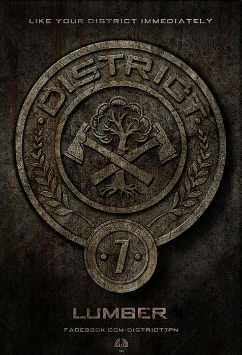 Die Tribute von Panem - The Hunger Games : Kinoposter