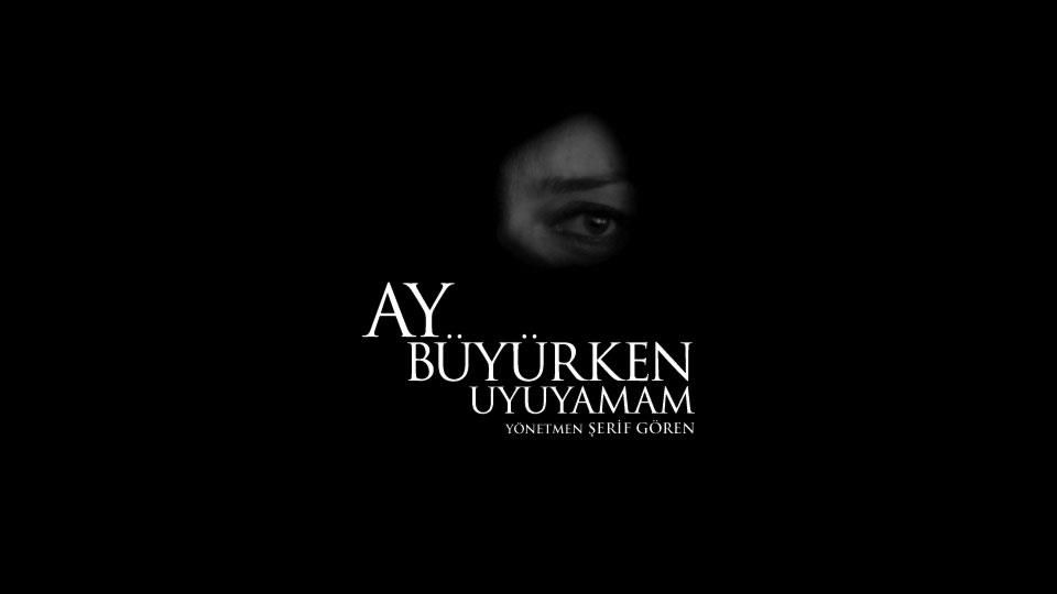 Schlaflos bei zunehmendem Mond : Bild