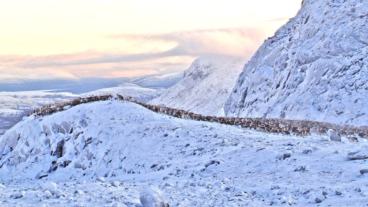 Jon face aux vents : Bild