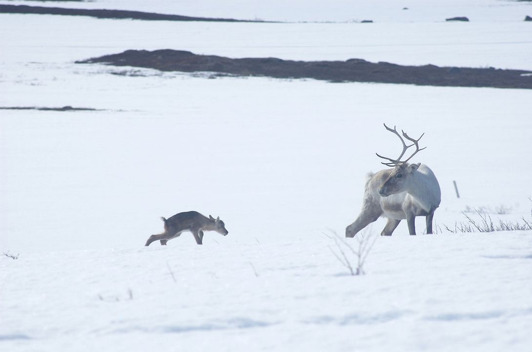 Jon face aux vents : Bild