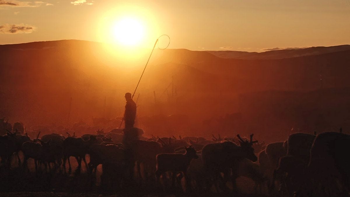 Jon face aux vents : Bild