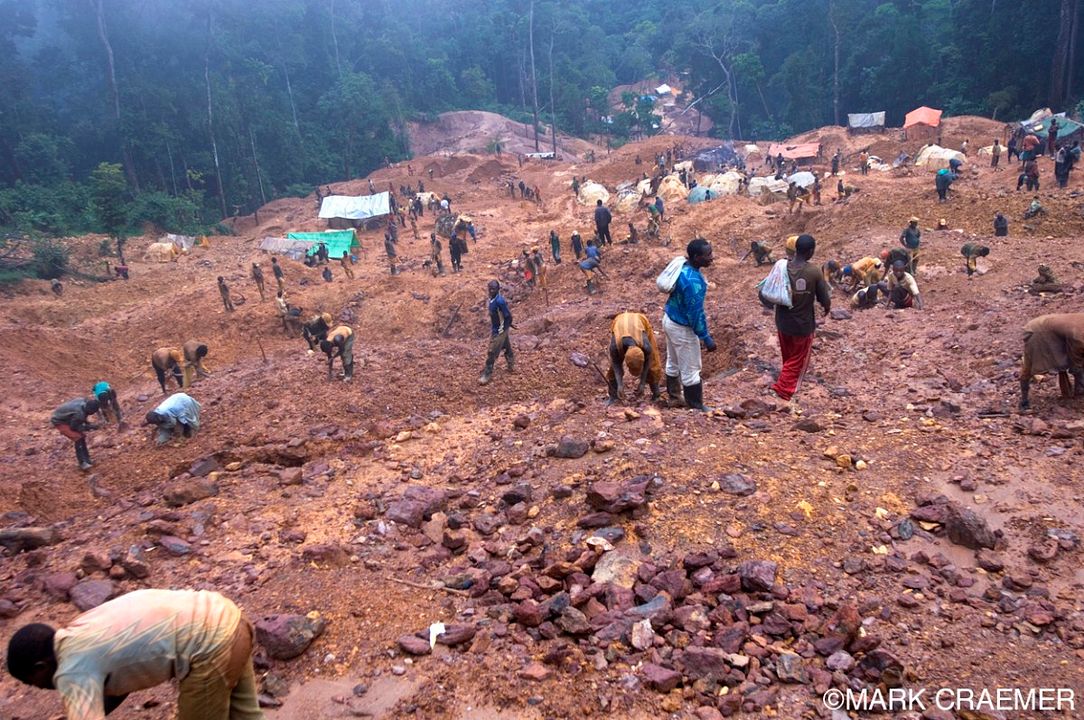 Blood in the Mobile : Bild