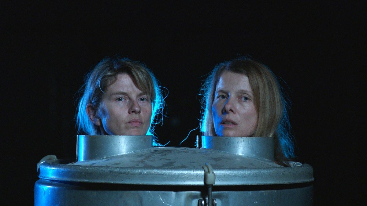 Die Wahrheit der Lüge : Bild