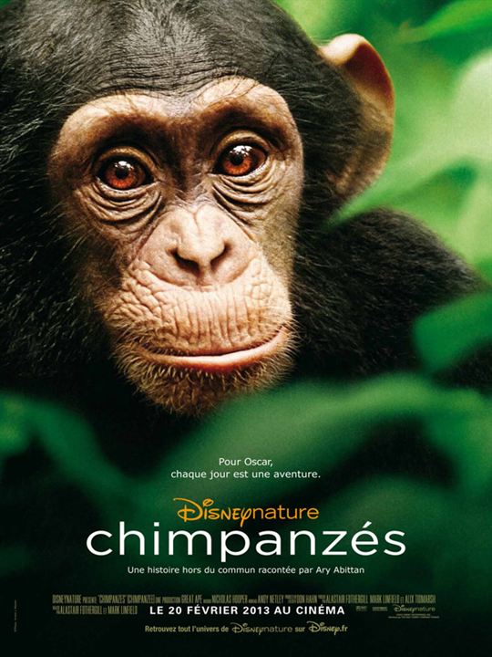 Schimpansen : Kinoposter