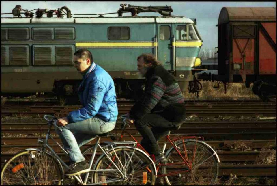 Koen Mortier : Punk or Dead : Bild